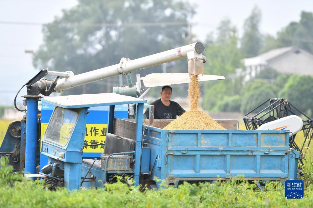 现金斗牛网